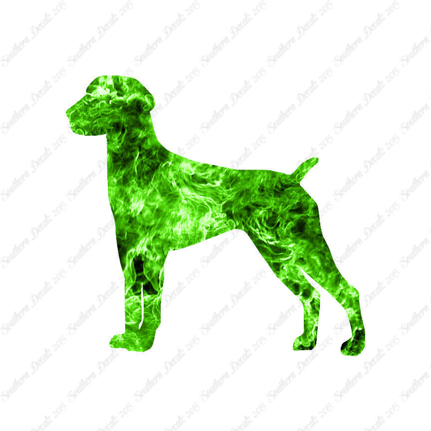 German Shorthaired Pointer Dog Breed