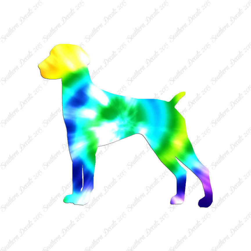 German Shorthaired Pointer Dog Breed