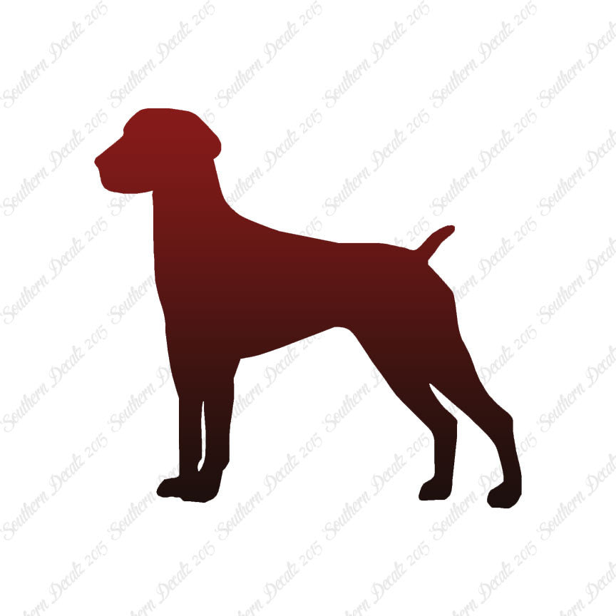 German Shorthaired Pointer Dog Breed