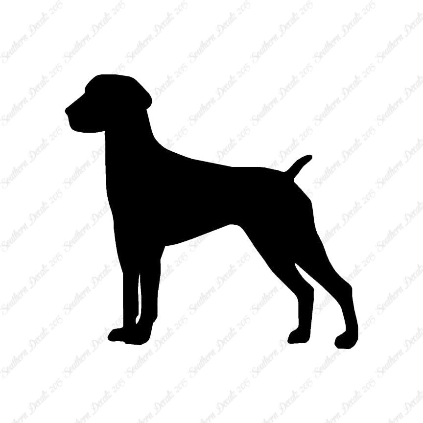 German Shorthaired Pointer Dog Breed