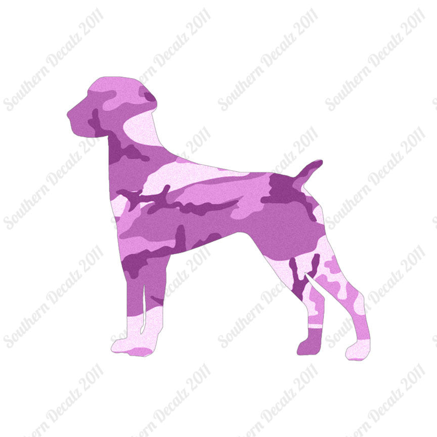 German Shorthaired Pointer Dog Breed