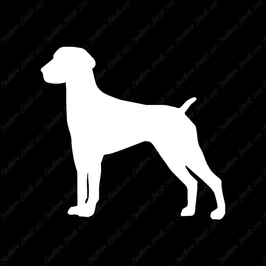 German Shorthaired Pointer Dog Breed