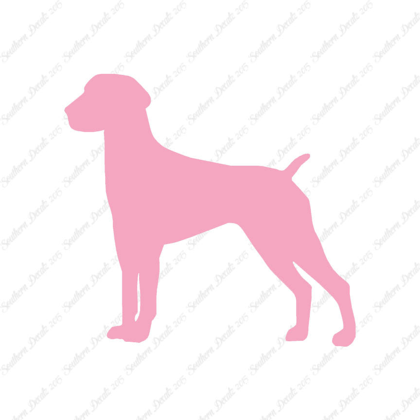 German Shorthaired Pointer Dog Breed