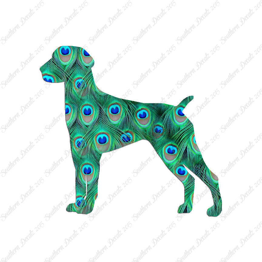 German Shorthaired Pointer Dog Breed