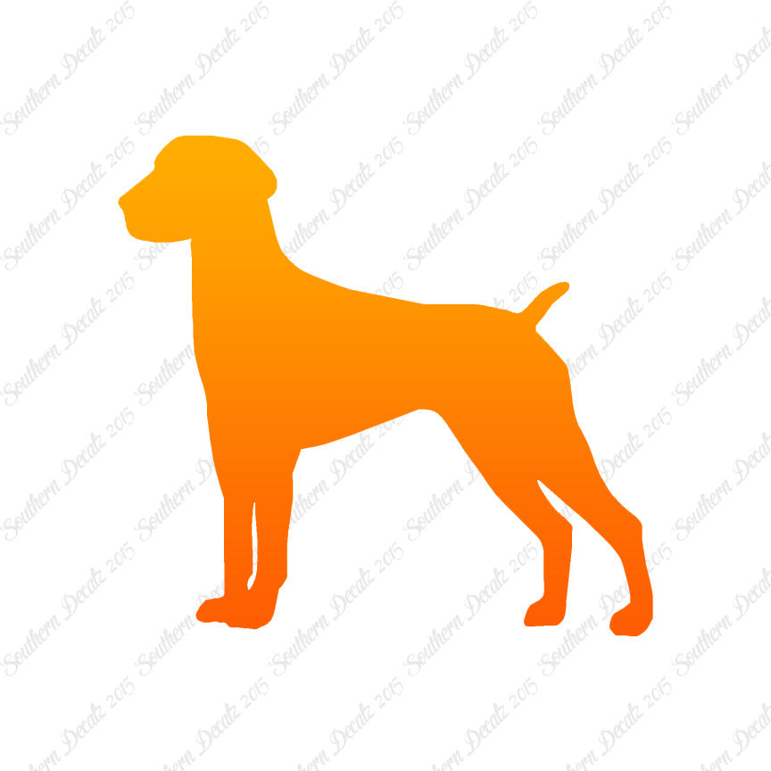 German Shorthaired Pointer Dog Breed