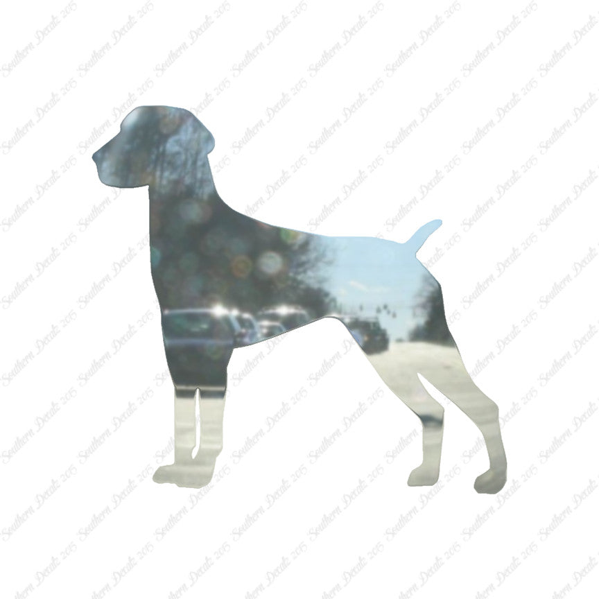 German Shorthaired Pointer Dog Breed