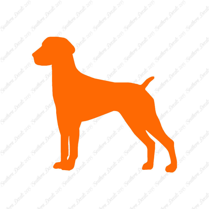 German Shorthaired Pointer Dog Breed