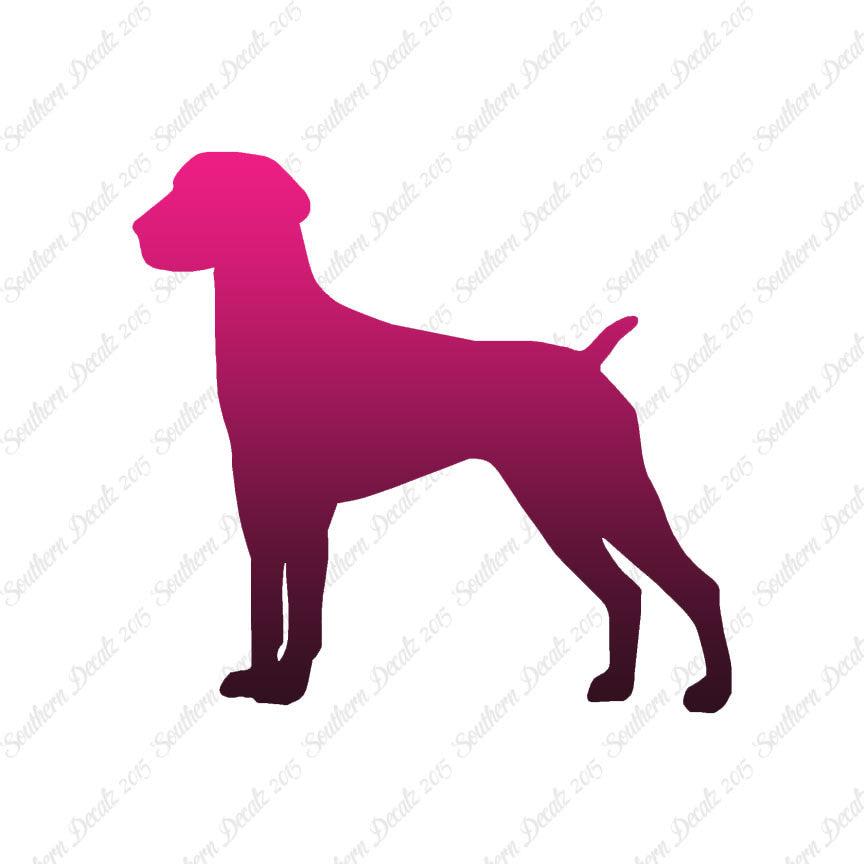 German Shorthaired Pointer Dog Breed