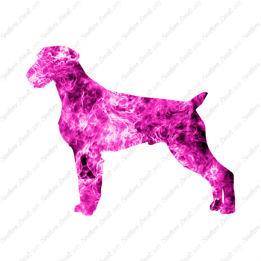 German Wirehaired Pointer Dog Breed