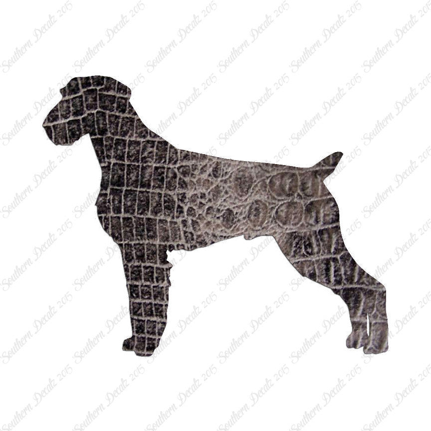 German Wirehaired Pointer Dog Breed