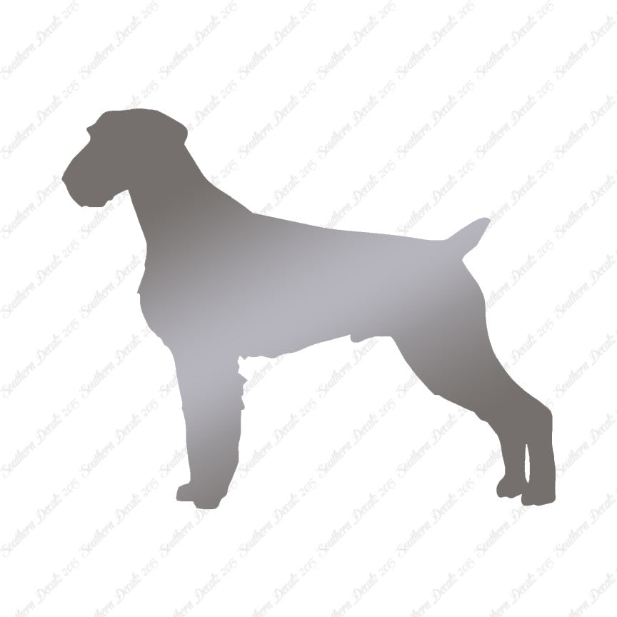 German Wirehaired Pointer Dog Breed