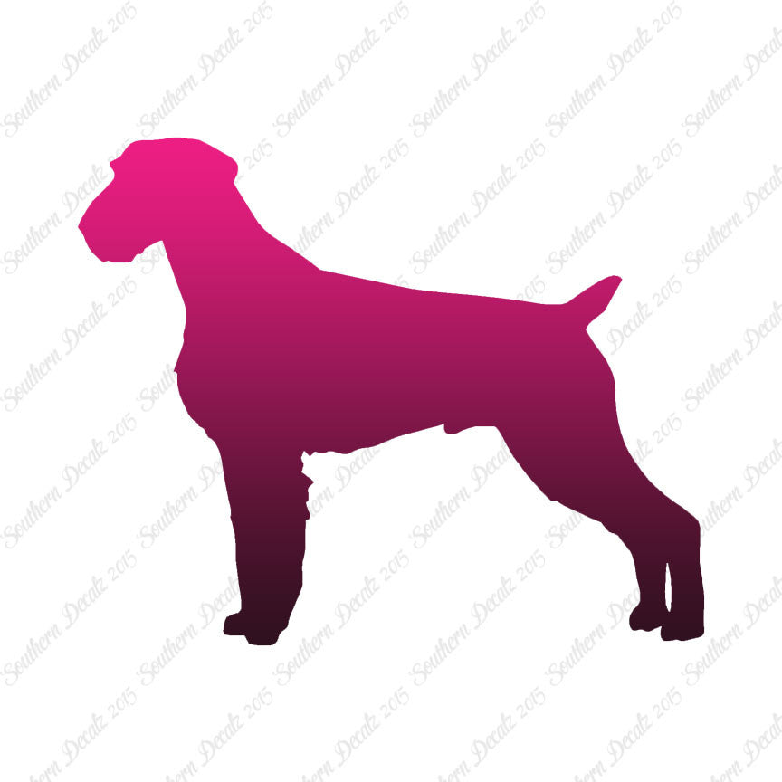 German Wirehaired Pointer Dog Breed