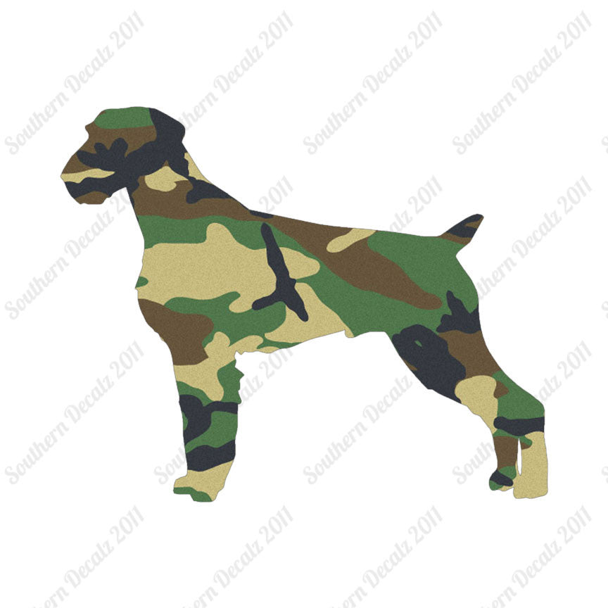 German Wirehaired Pointer Dog Breed