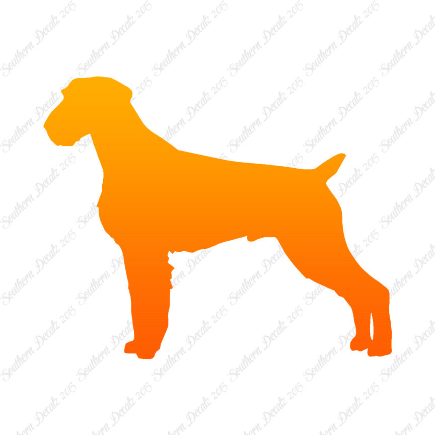 German Wirehaired Pointer Dog Breed
