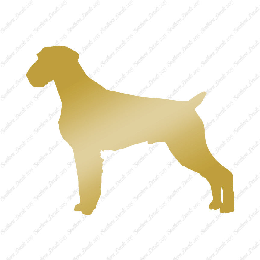 German Wirehaired Pointer Dog Breed