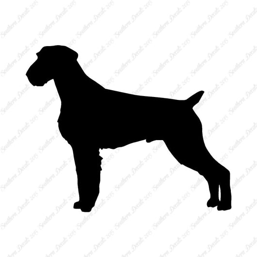 German Wirehaired Pointer Dog Breed