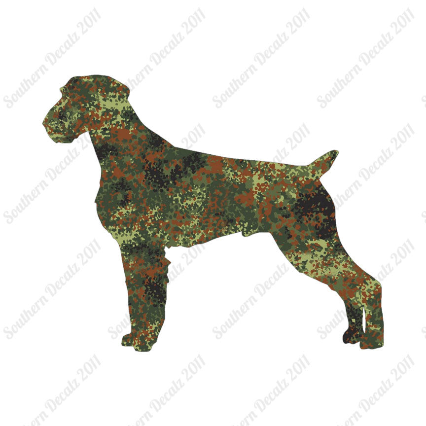 German Wirehaired Pointer Dog Breed