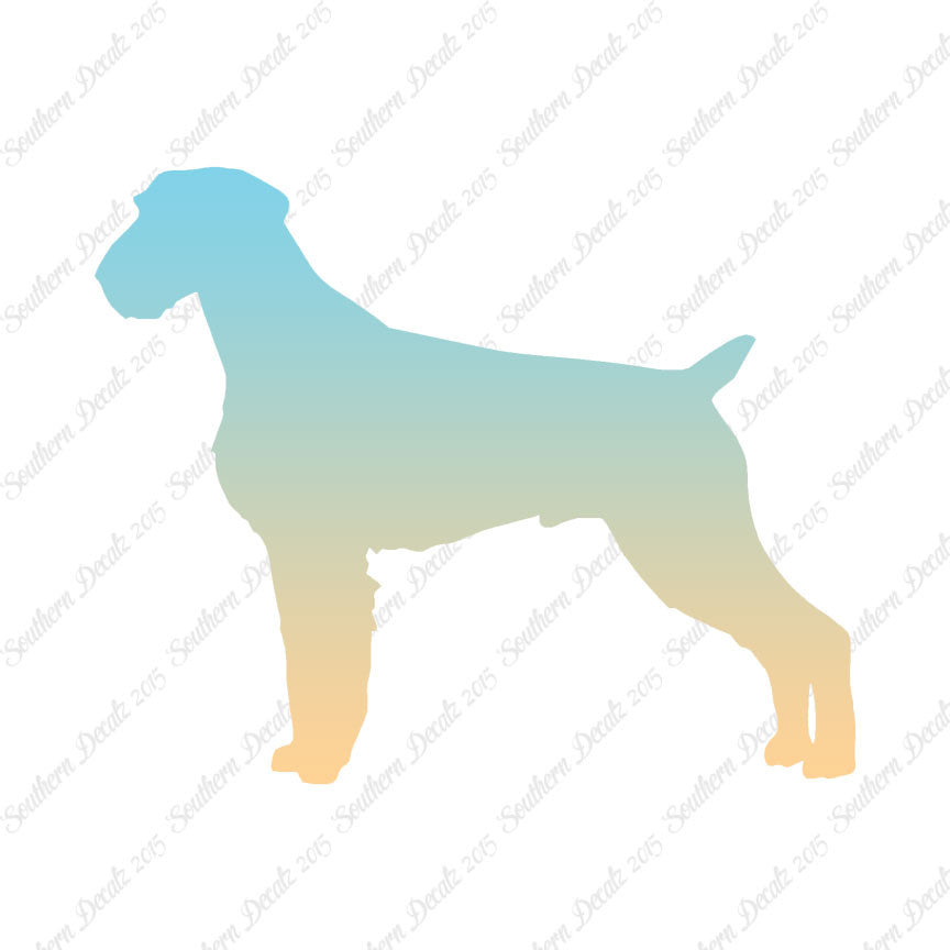 German Wirehaired Pointer Dog Breed