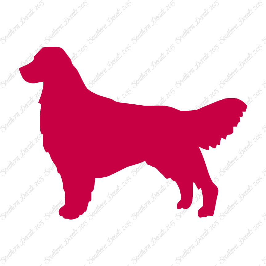 Golden Retriever Dog Breed
