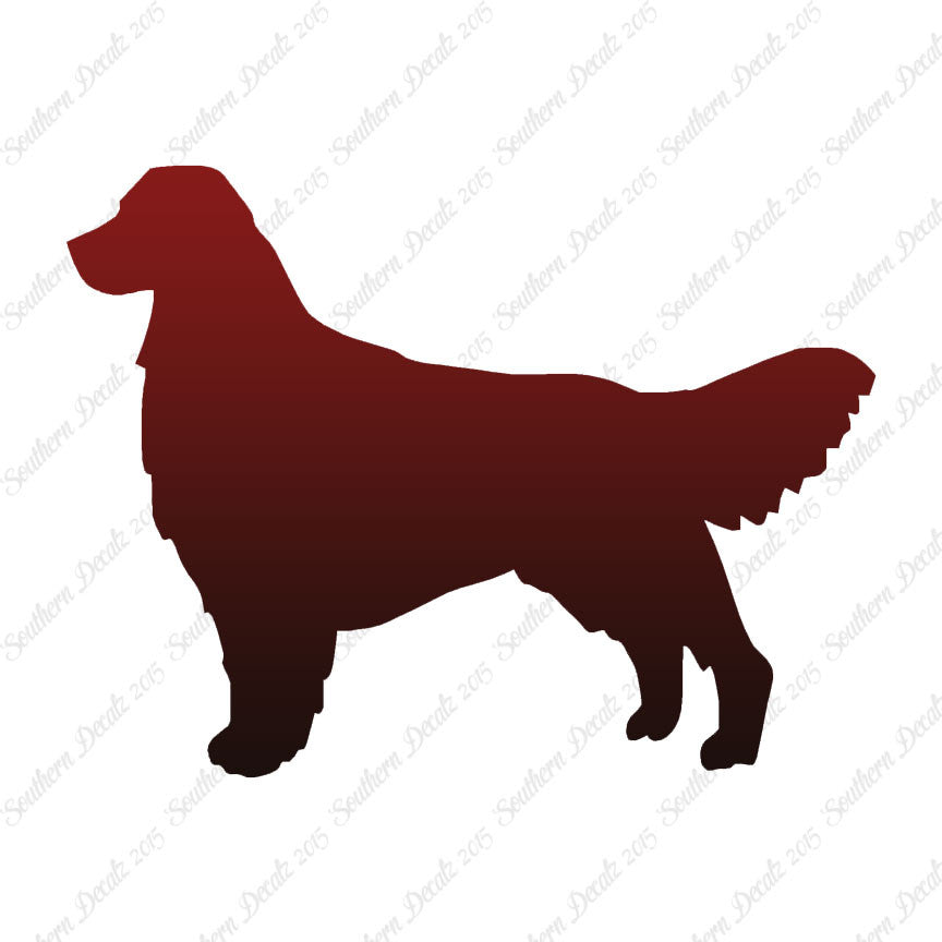 Golden Retriever Dog Breed