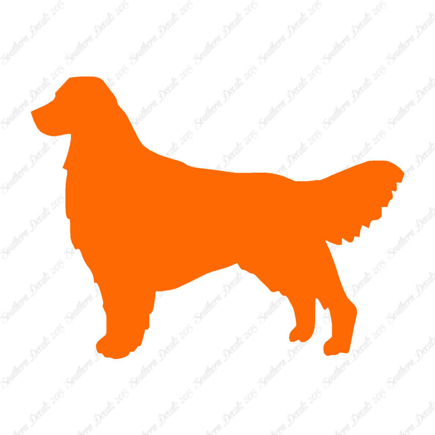 Golden Retriever Dog Breed