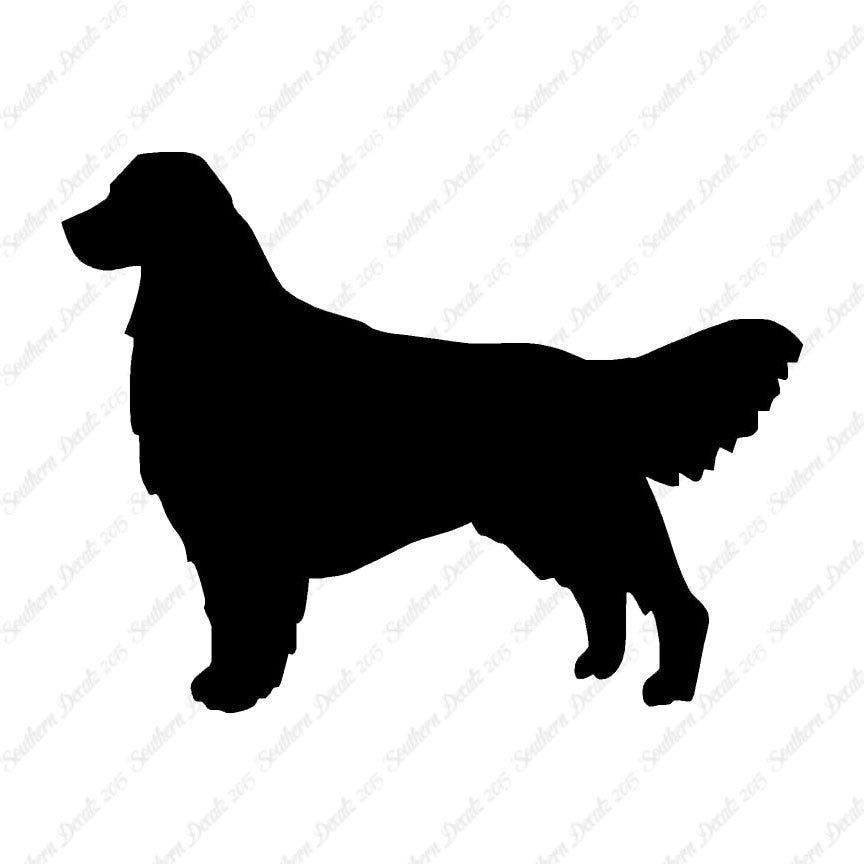 Golden Retriever Dog Breed