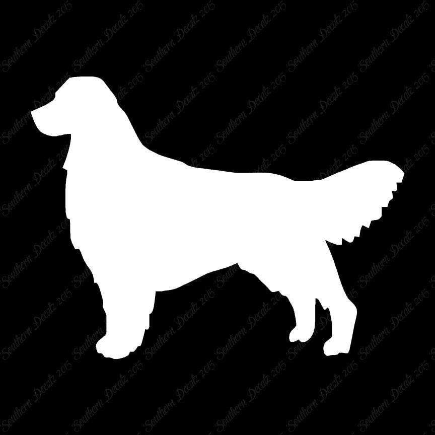 Golden Retriever Dog Breed