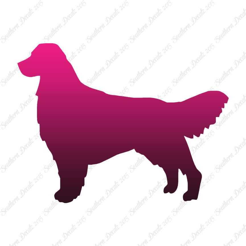 Golden Retriever Dog Breed