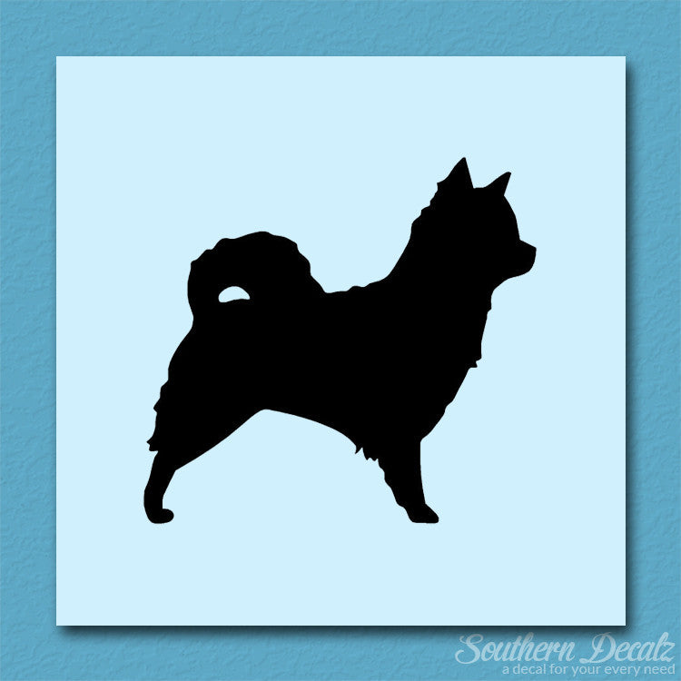 Long Haired Chihuahua Dog Breed