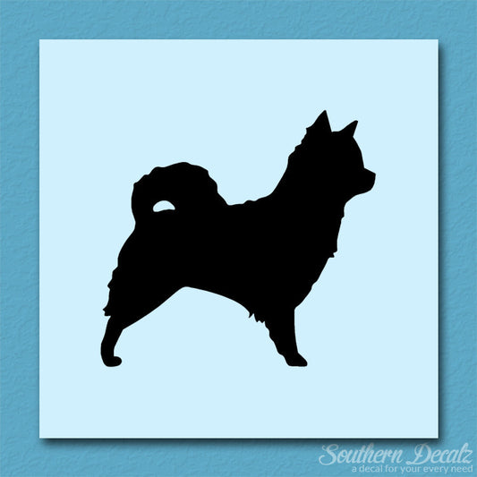 Long Haired Chihuahua Dog Breed