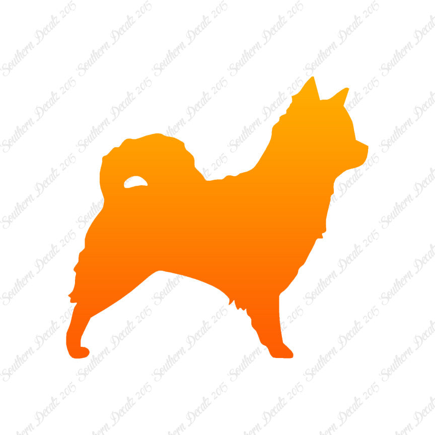 Long Haired Chihuahua Dog Breed