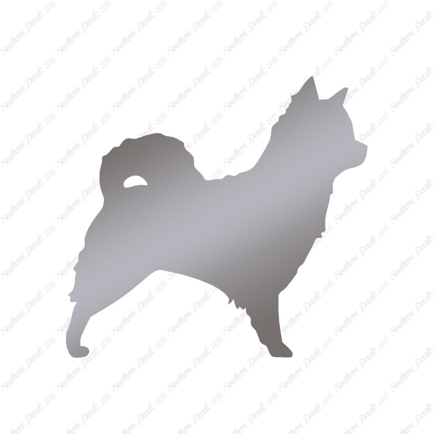 Long Haired Chihuahua Dog Breed
