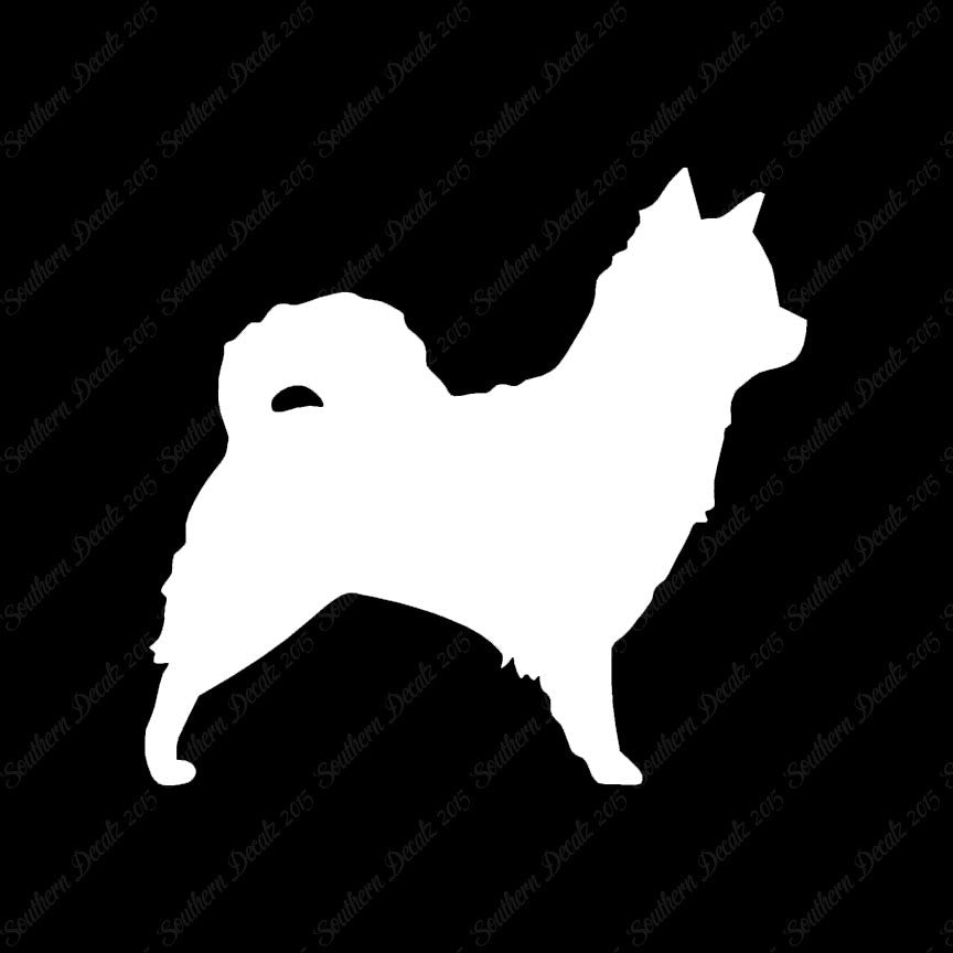 Long Haired Chihuahua Dog Breed