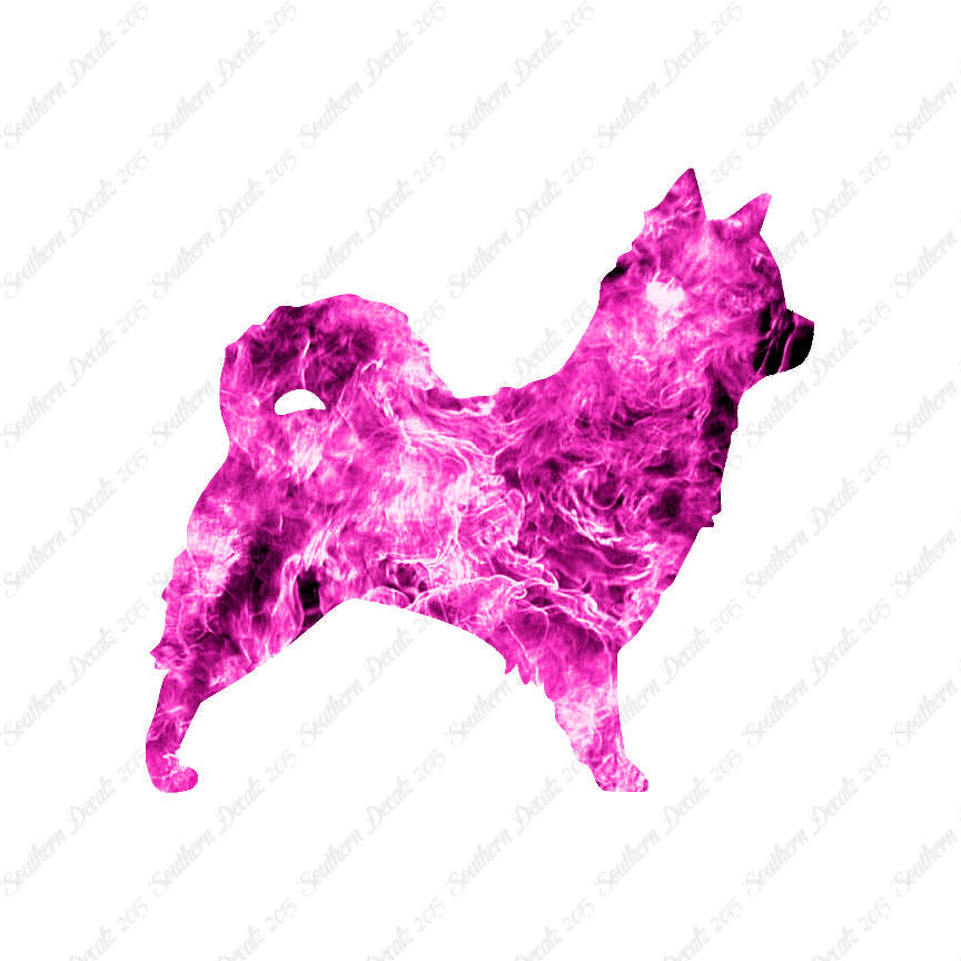 Long Haired Chihuahua Dog Breed