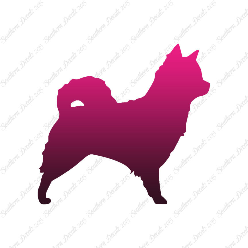 Long Haired Chihuahua Dog Breed