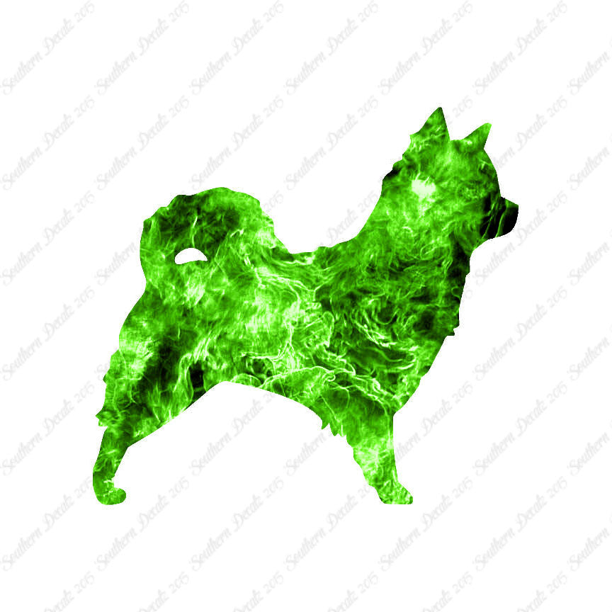 Long Haired Chihuahua Dog Breed