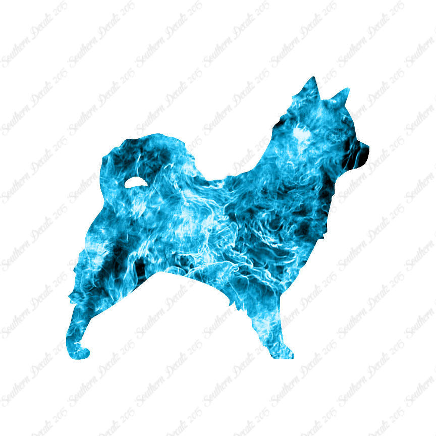 Long Haired Chihuahua Dog Breed