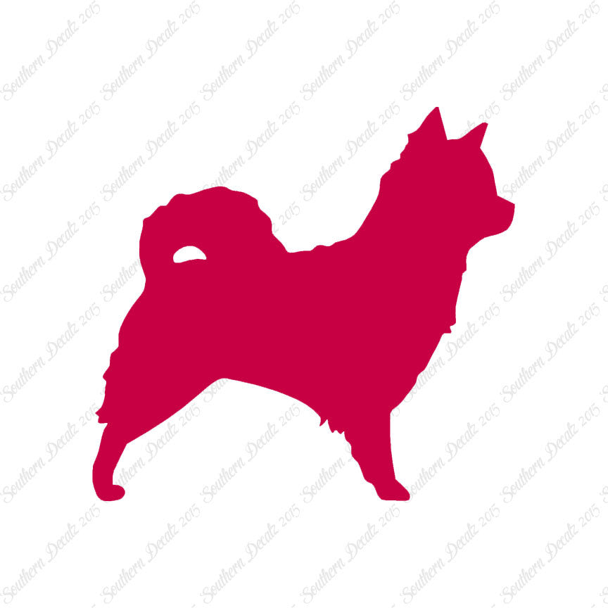 Long Haired Chihuahua Dog Breed