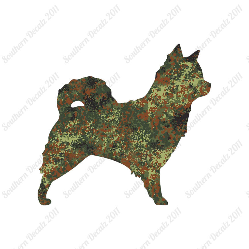 Long Haired Chihuahua Dog Breed