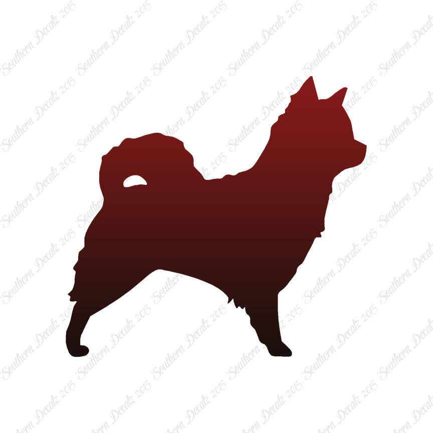 Long Haired Chihuahua Dog Breed
