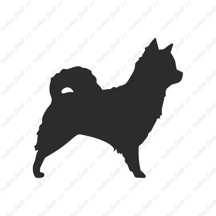 Long Haired Chihuahua Dog Breed