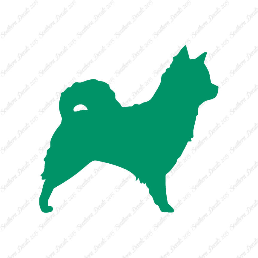 Long Haired Chihuahua Dog Breed