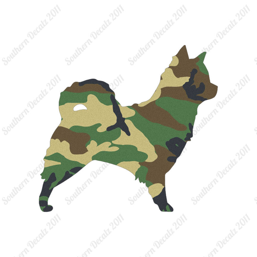 Long Haired Chihuahua Dog Breed