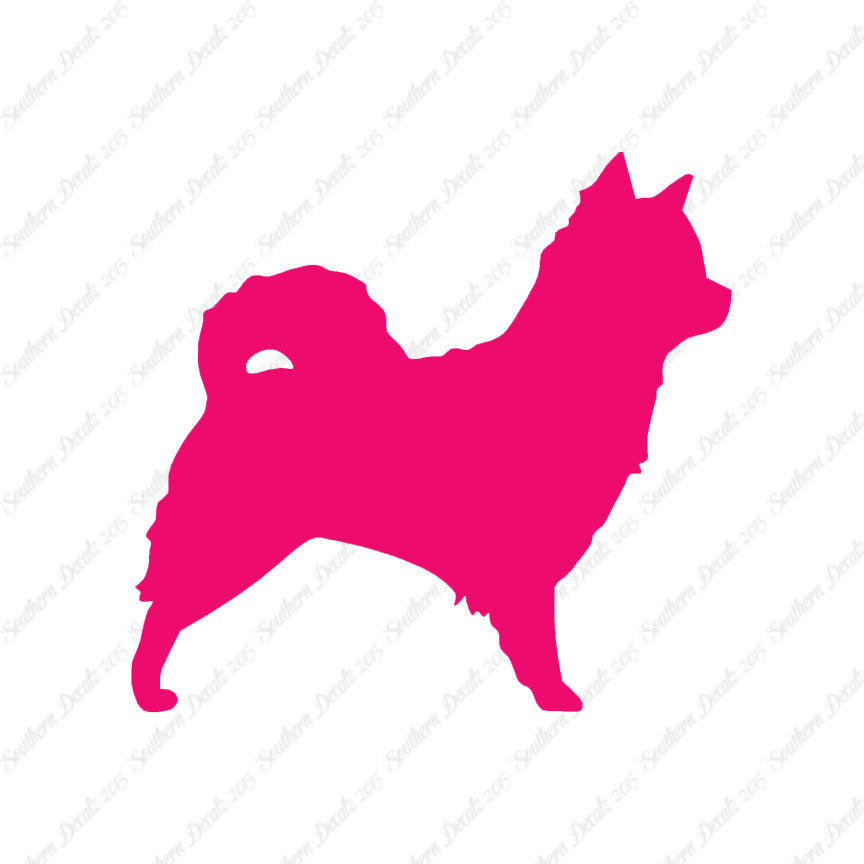 Long Haired Chihuahua Dog Breed