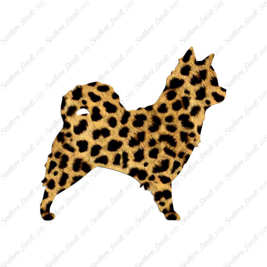 Long Haired Chihuahua Dog Breed