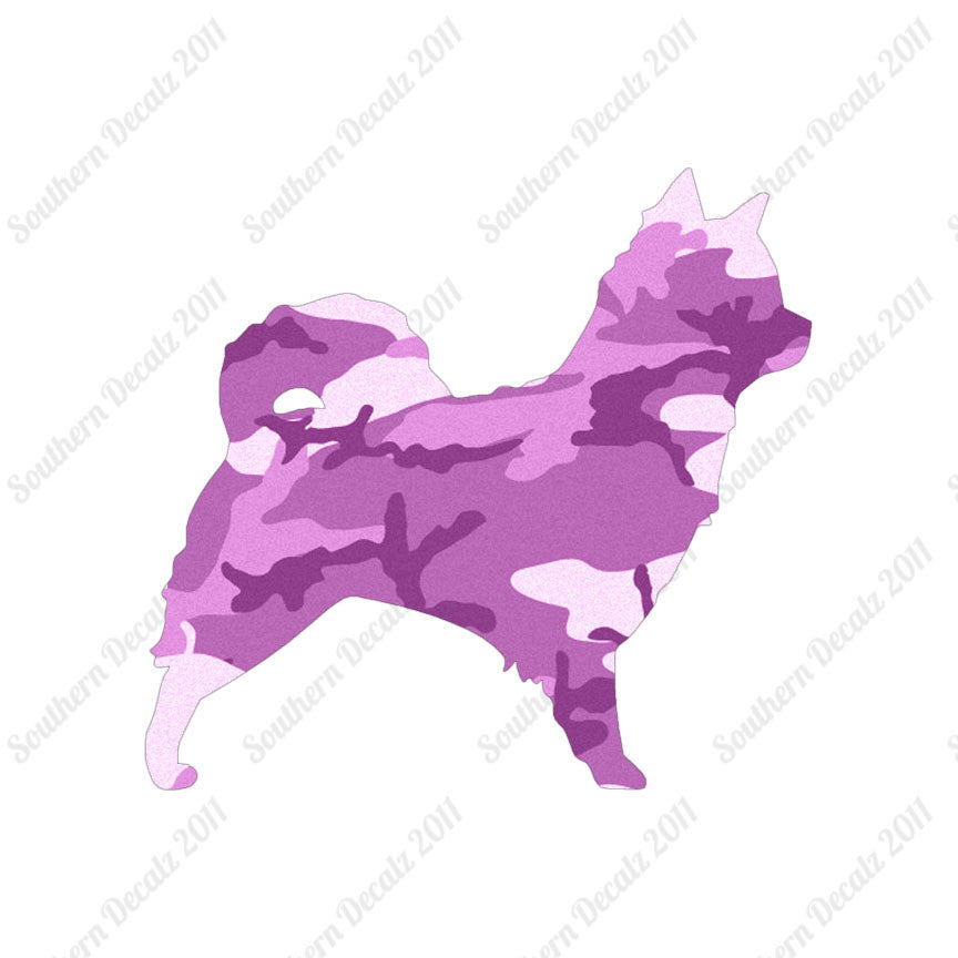 Long Haired Chihuahua Dog Breed