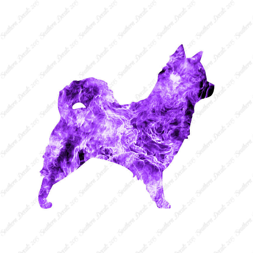 Long Haired Chihuahua Dog Breed
