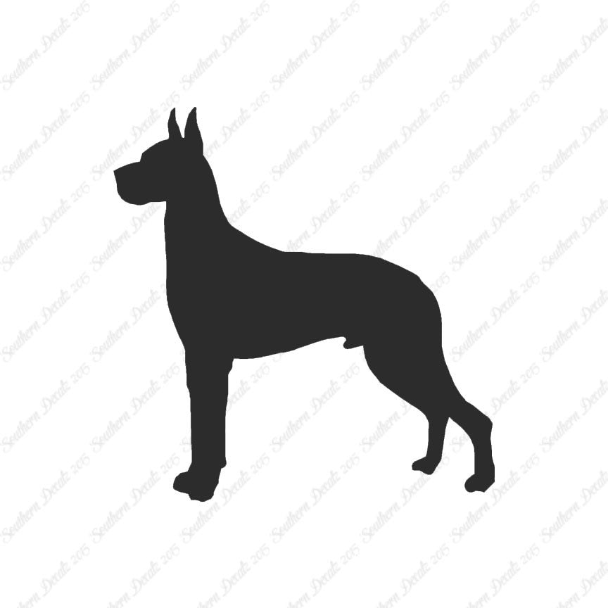 Great Dane Dog Breed