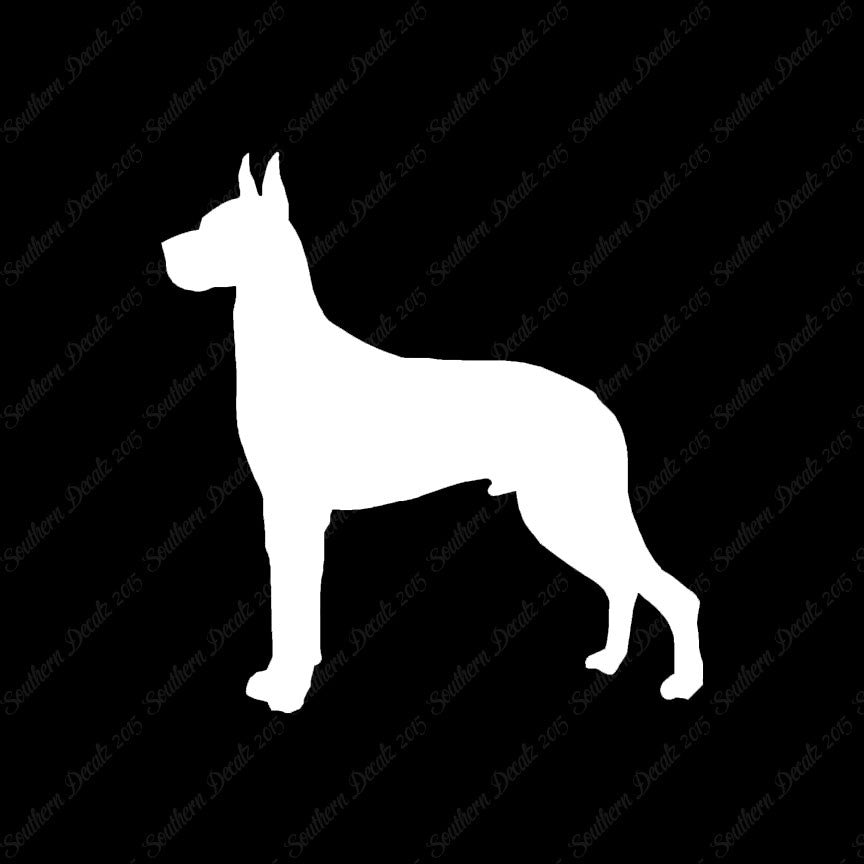 Great Dane Dog Breed