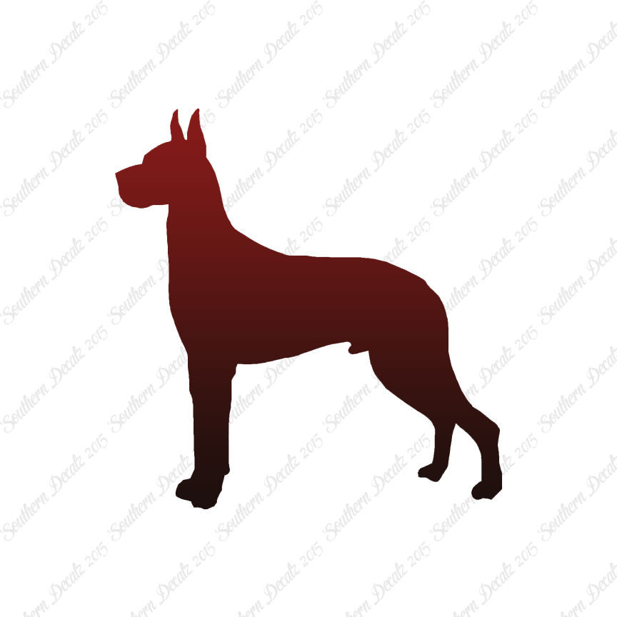 Great Dane Dog Breed